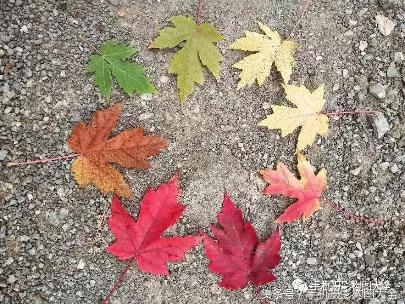 教你如何用手机拍出最好的照片,十个秘诀让你用手机拍出好照片