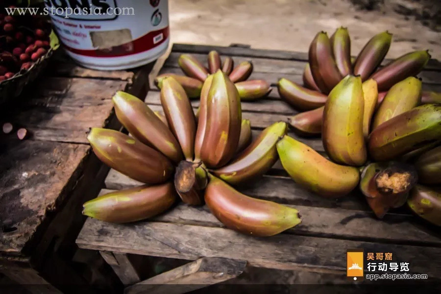 柬埔寨旅游瞻仰吴哥窟,柬埔寨吴哥窟旅游攻略