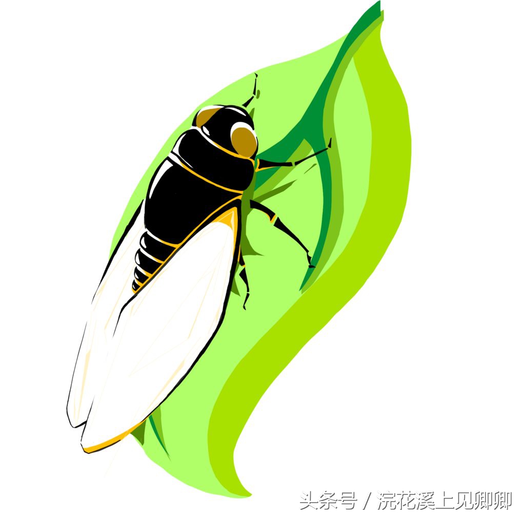 似花还似非花下句是什么,似花还似非花全诗的情感