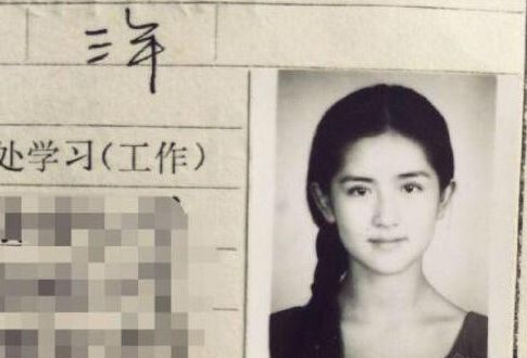 谢娜高情商演技,谢娜演技炸裂瞬间合集