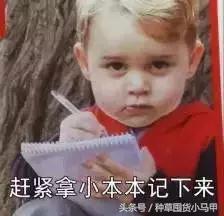 很火的洁面仪,代购洗脸仪测评