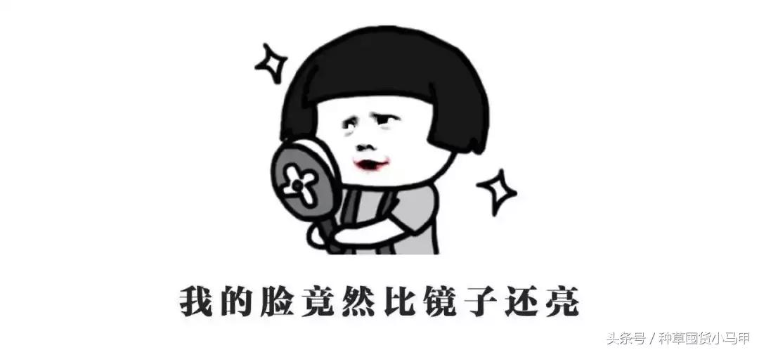 很火的洁面仪,代购洗脸仪测评