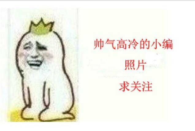 魔兽世界怀旧服圣骑士种族选择,魔兽世界怀旧服硬核模式圣骑士