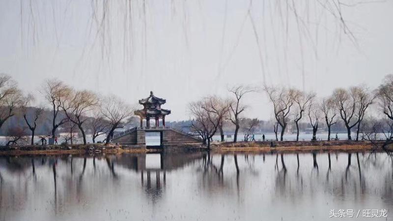 佳能单反相机型号排名及价格eosrp,现在佳能单反相机什么型号比较好