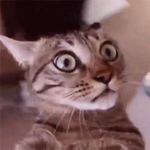 海关税要取消吗,2016年海关税率调整