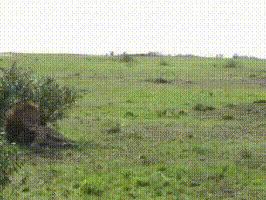 适合在酒吧玩的真心话大冒险,美女真心话大冒险在酒吧玩