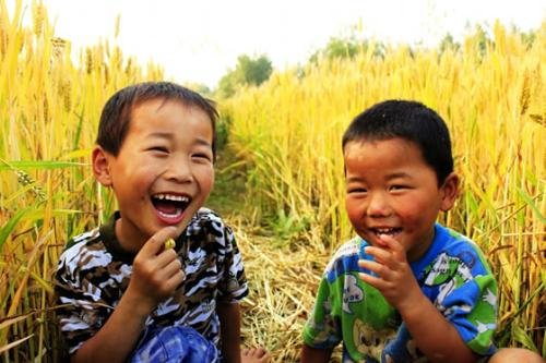 麦田里的守望者原创视频,麦田里的守望者创作的原声