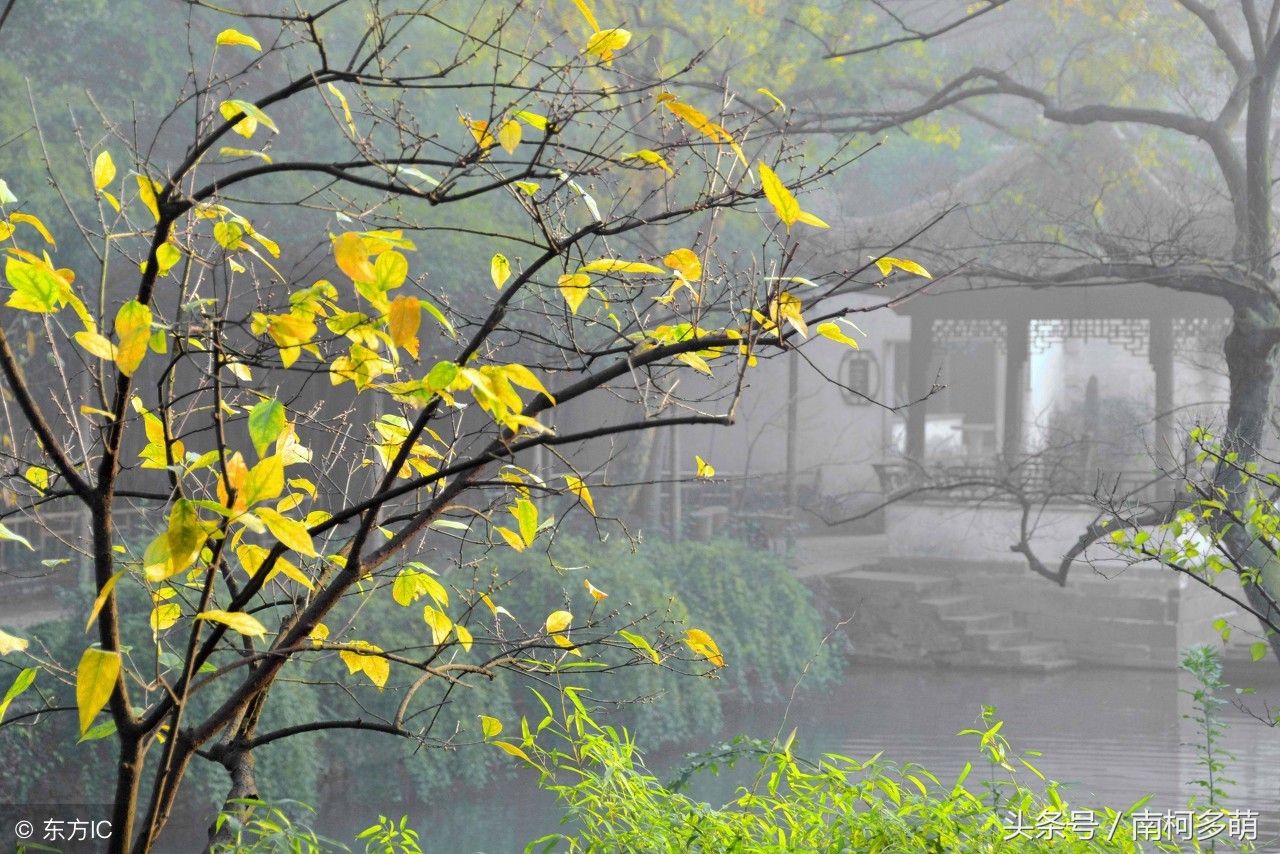 最具有意境美的对联,古今绝句对联100副