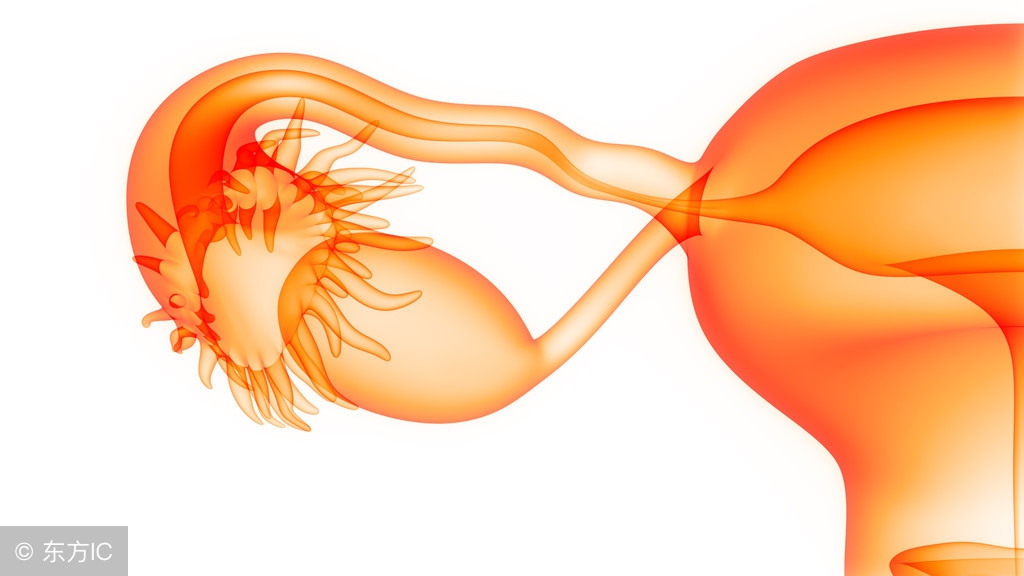 卵巢不排卵了还有啥办法能怀孕,卵巢不排卵中药偏方