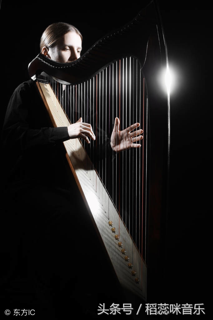 什么乐器最有气质又好学,活泼的女孩学什么乐器