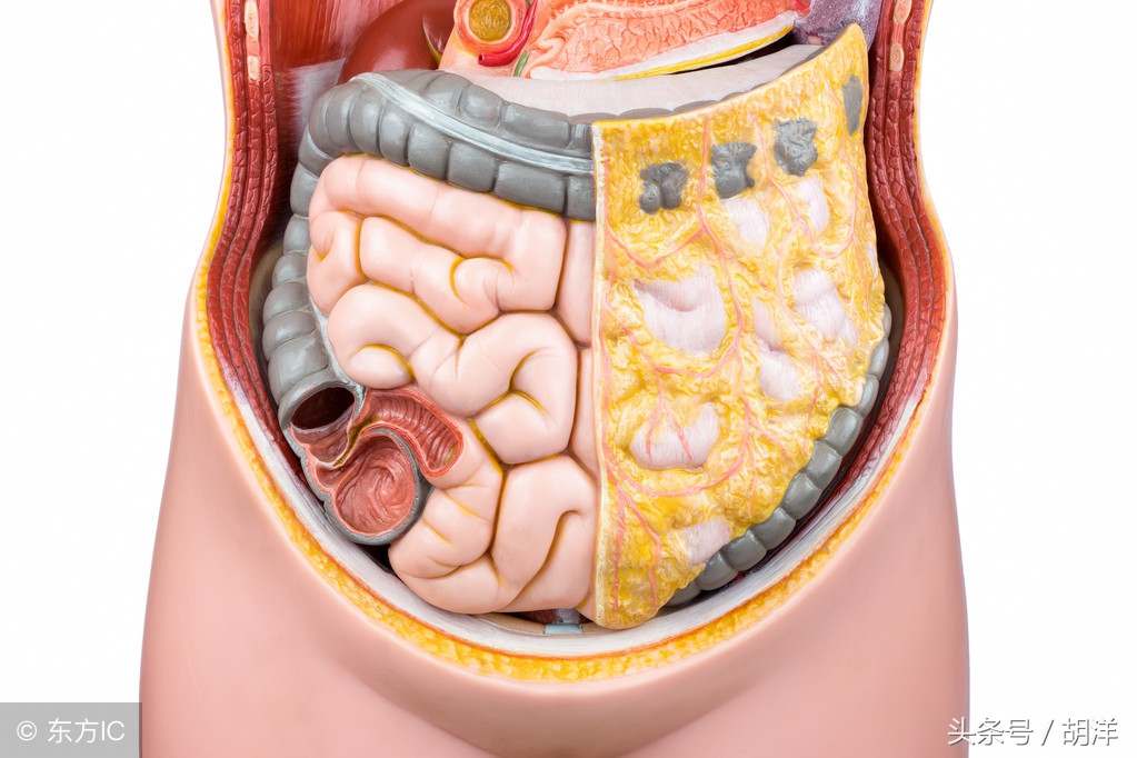大便干结困难吃什么药,大便干硬便秘用哪种药管用