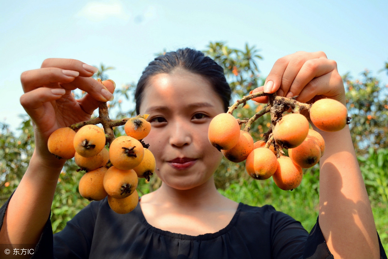 到农村返乡创业什么行业可行,回来农村创业做哪些稳妥