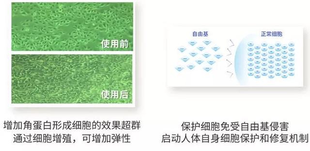 不老女神明星李英爱,51岁李英爱冻龄神颜的原因