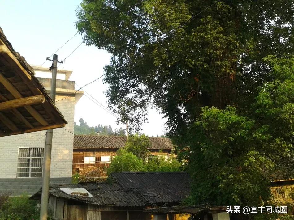 这些失传已久的童谣你还记得吗,这些即将消失的老行当你还记得吗