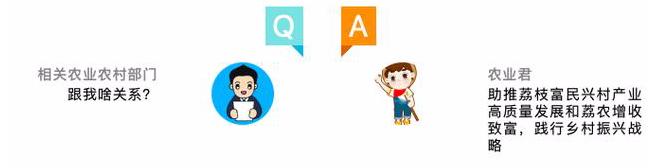 荔枝来了,荔枝来了视频完整版