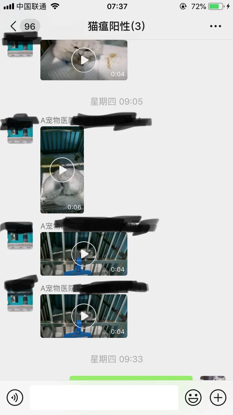 爆发猫瘟,猫瘟日常