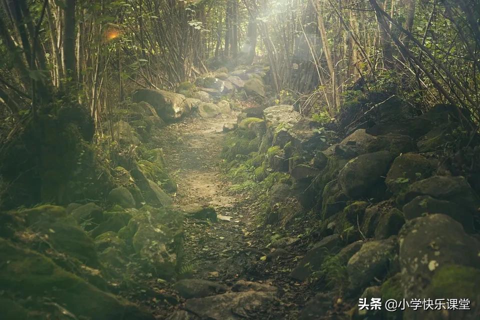 那一次我真半命题作文范文,那一次我真什么优秀作文