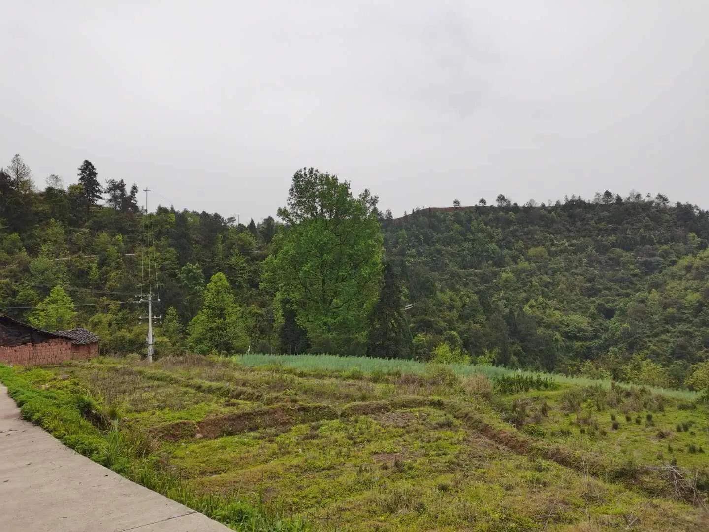 深切怀念敬爱的祖父祖母,看望我的祖母