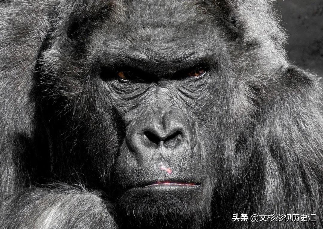 推荐六个销售励志小故事及感悟,励志简短小故事关于销售