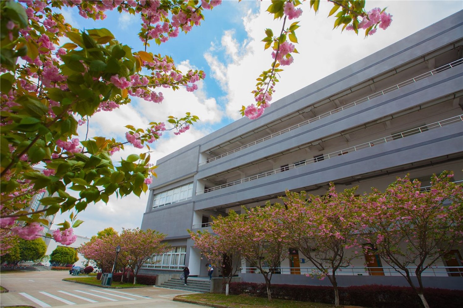 宁波大学新校区,宁波崇正书院新校区