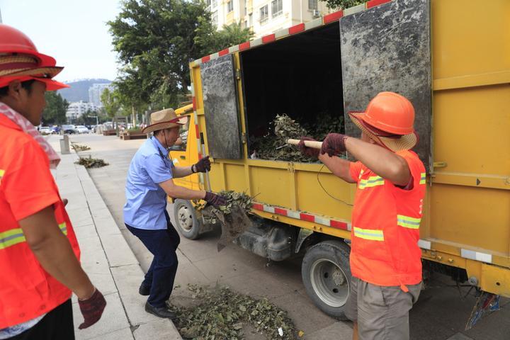 玉环民兵抗洪救灾,玉环市紧急救援