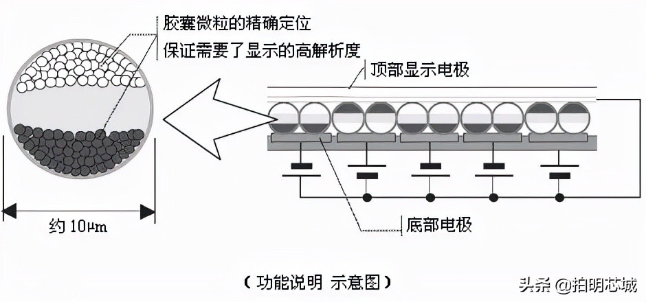 “泡面盖”身后的垄断小巨头，电子墨水屏你怎么看？