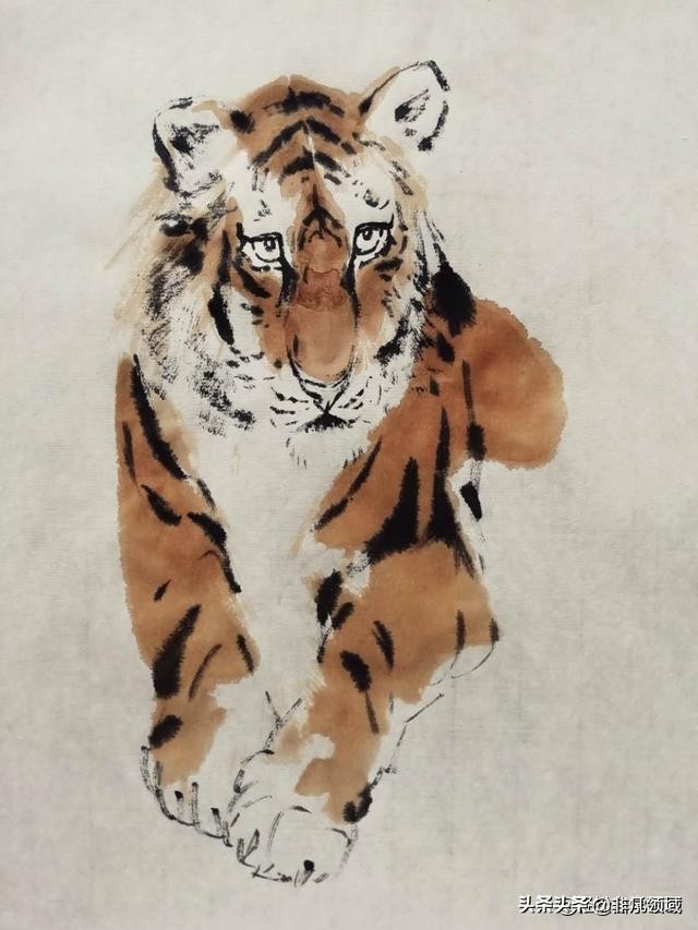 国画老虎画法步骤图,国画老虎画法步骤图解
