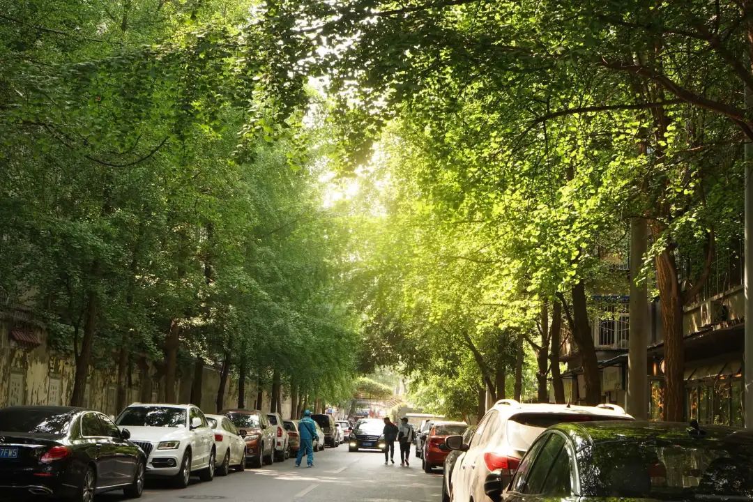 人民公园小南街,人民公园长发魔女