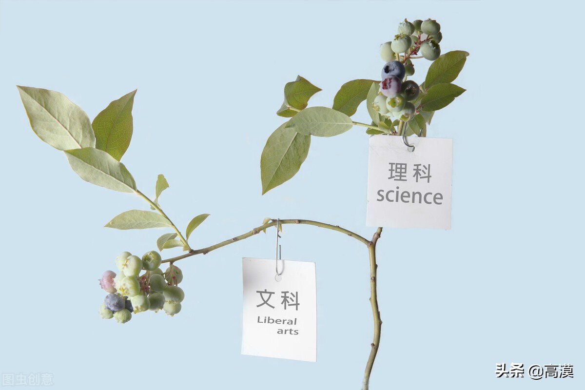 男孩学文科有前途吗,学文科能报哪些专业