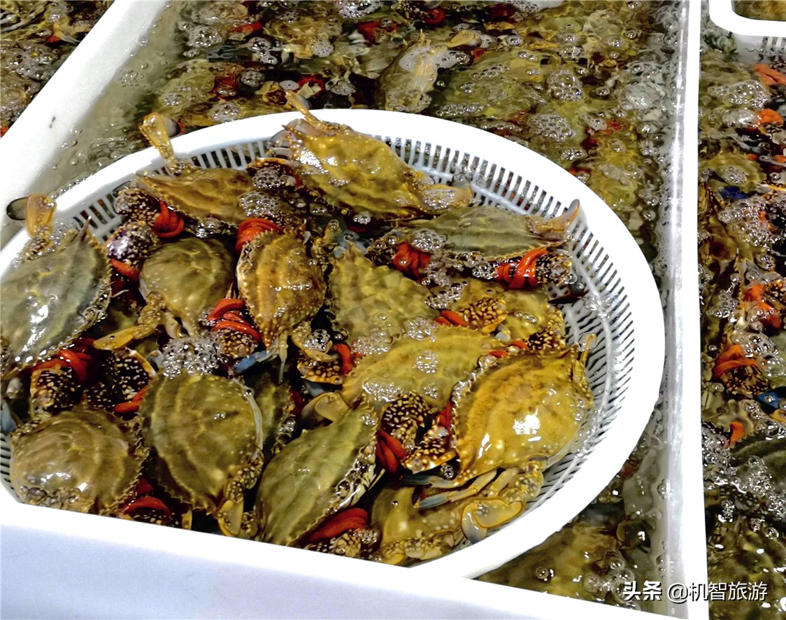 日照房价,日照旅游攻略