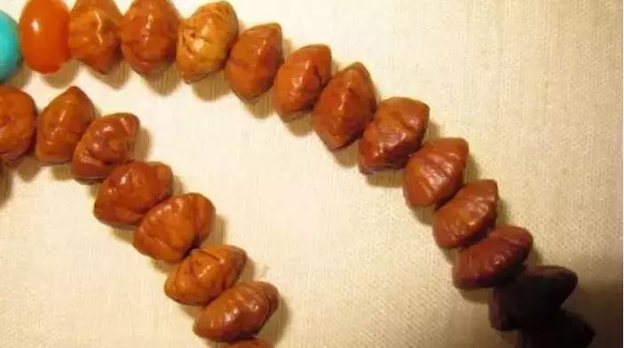 最全的菩提子图解太美了,最好的菩提子