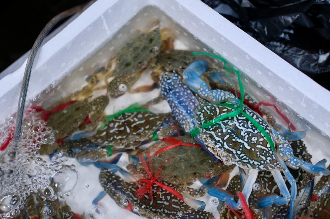 焦虑能去海口旅游吗,觉得焦虑就出来散散心