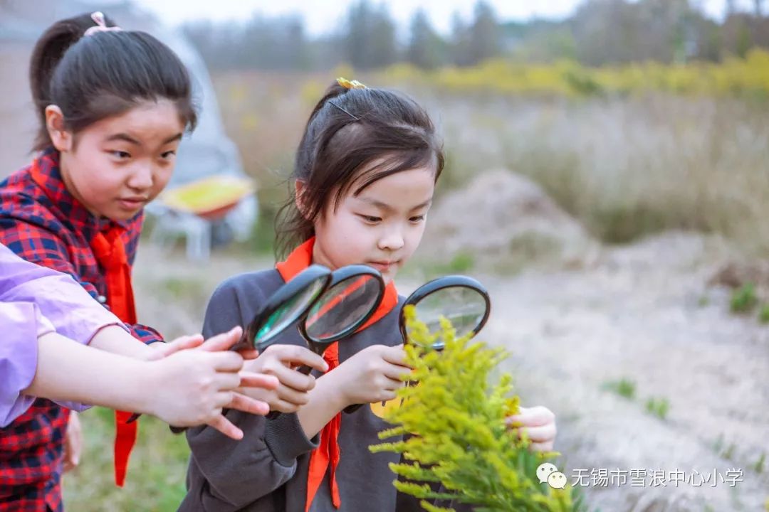 翻地、播种…无锡老小将课堂搬到了田间地头