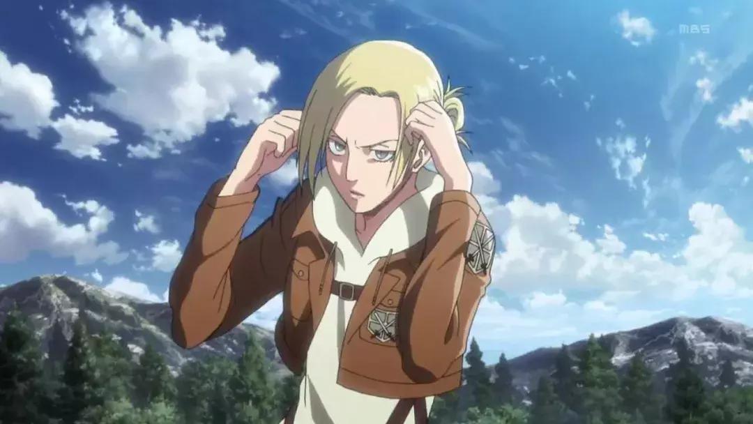 进击的巨人九大继承者照片,进击的巨人九大巨人继承者