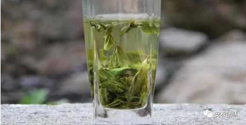 澳大利亚有什么茶,澳大利亚的冰岛茶