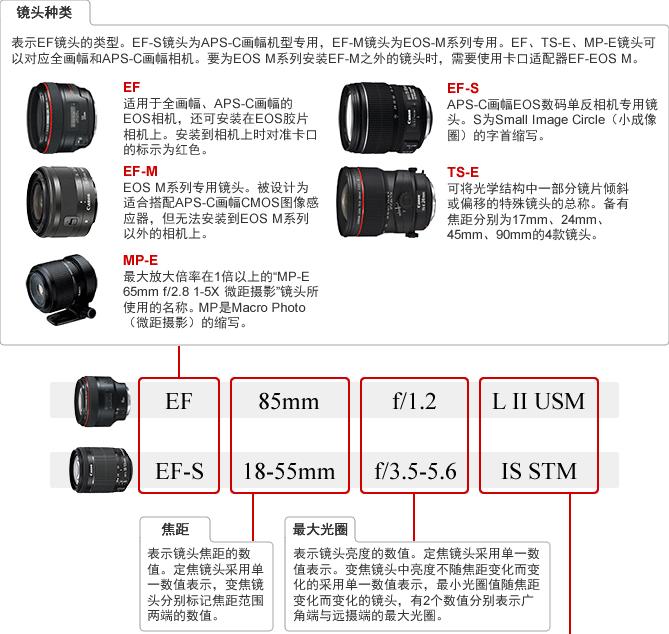 单反镜头lens是什么意思,单反镜头黑点什么原因