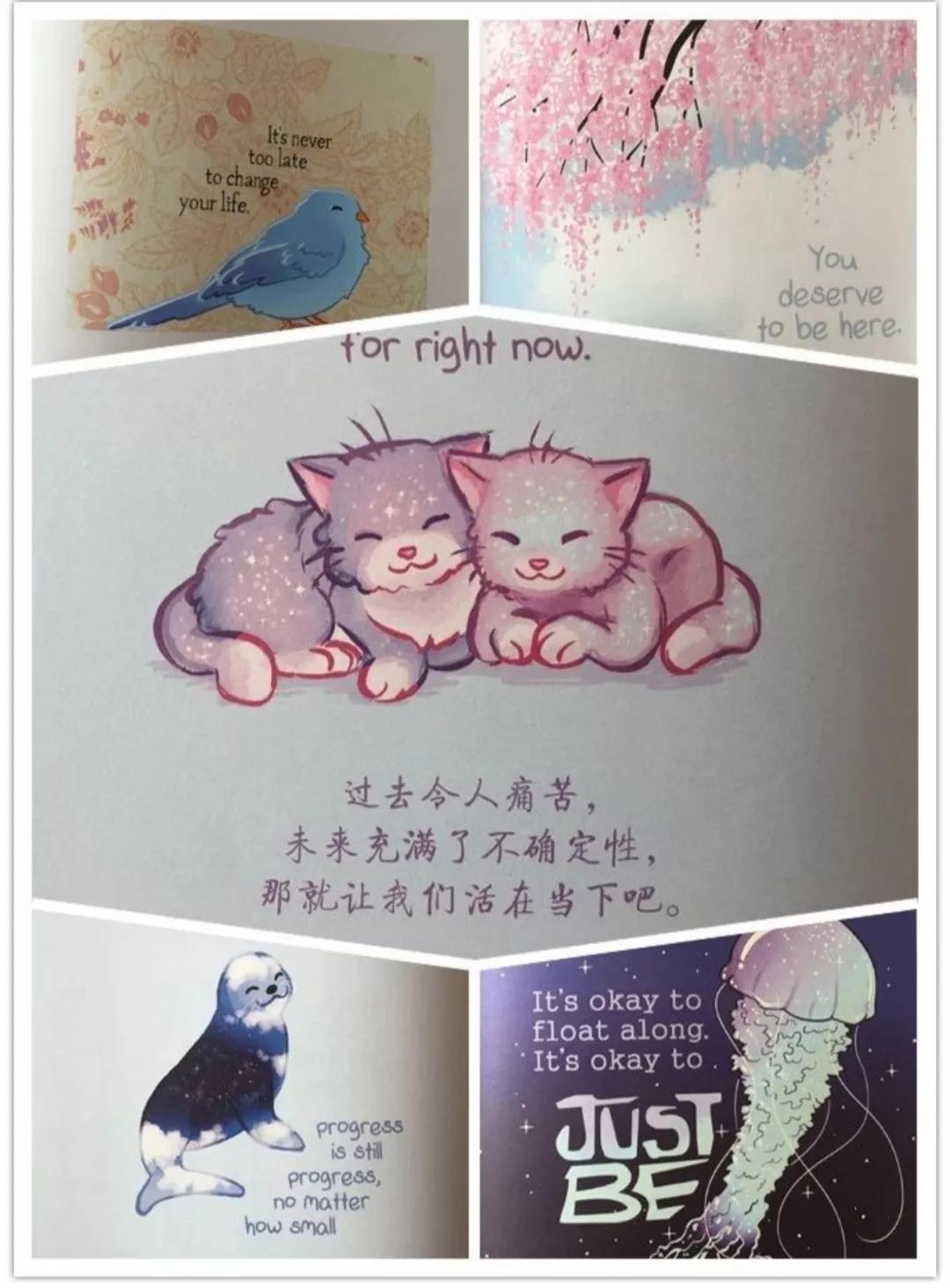 柔软的刺猬健身,柔软的刺猬英文朗读