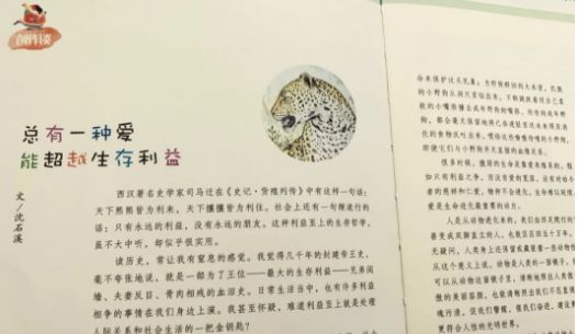 班主任推荐订的杂志，有些真是“一言难尽”|儿童杂志亲测