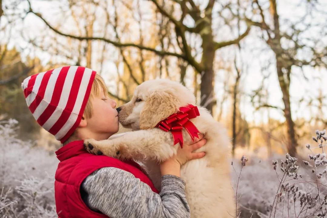 温暖一冬的小妙招,温暖过冬指南图片