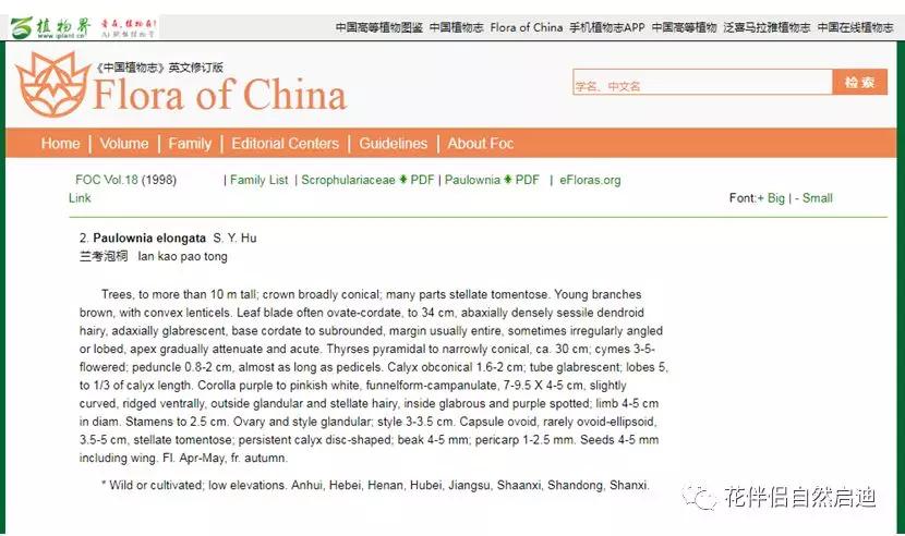植物检索网站官网,植物检索表100种