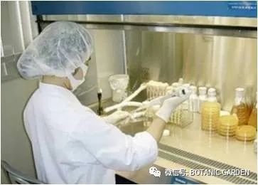 A-Z理研理化研究所简介