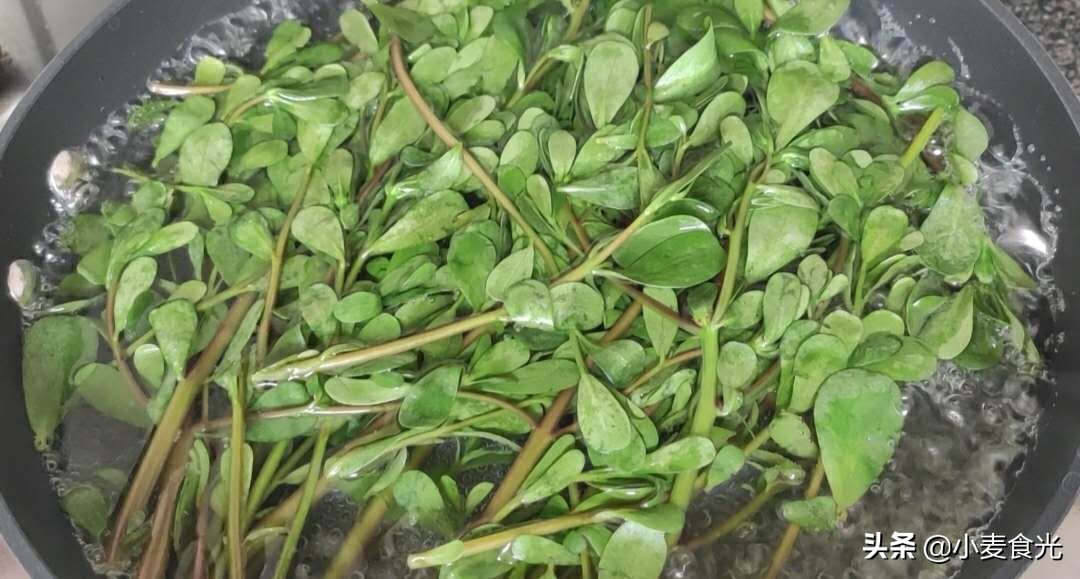 马齿苋干菜鸡蛋包子馅的家常做法,马齿苋能跟干菜放一块做包子吗