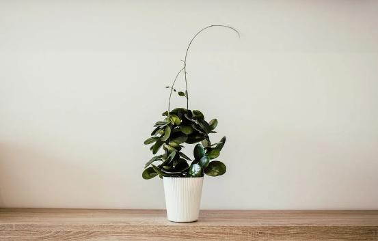 聪明女人投资自己,什么样的投资适合自己