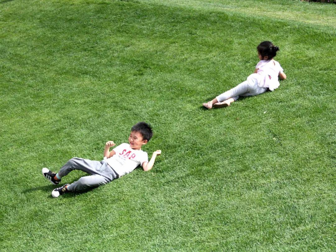 欢迎踩踏？可以停车？聊聊你#做梦也想要的草坪#