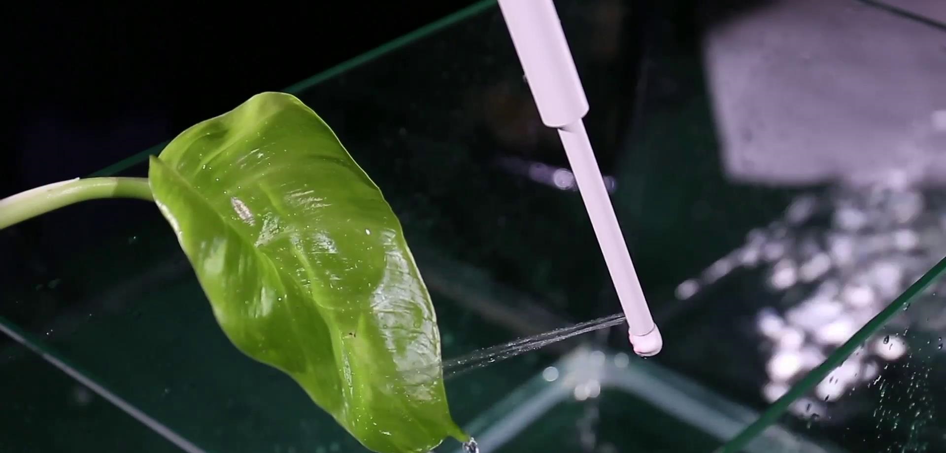 用水洗屁屁要用手搓吗,用水洗屁屁可以防止痔疮吗