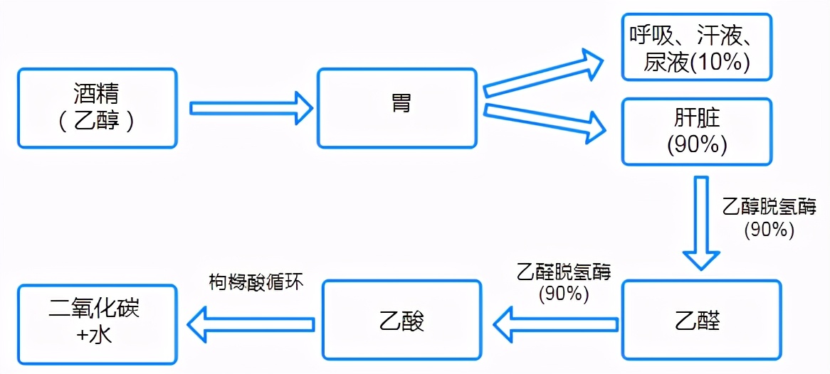 吃甲硝唑后不能喝酒，你知道吗？
