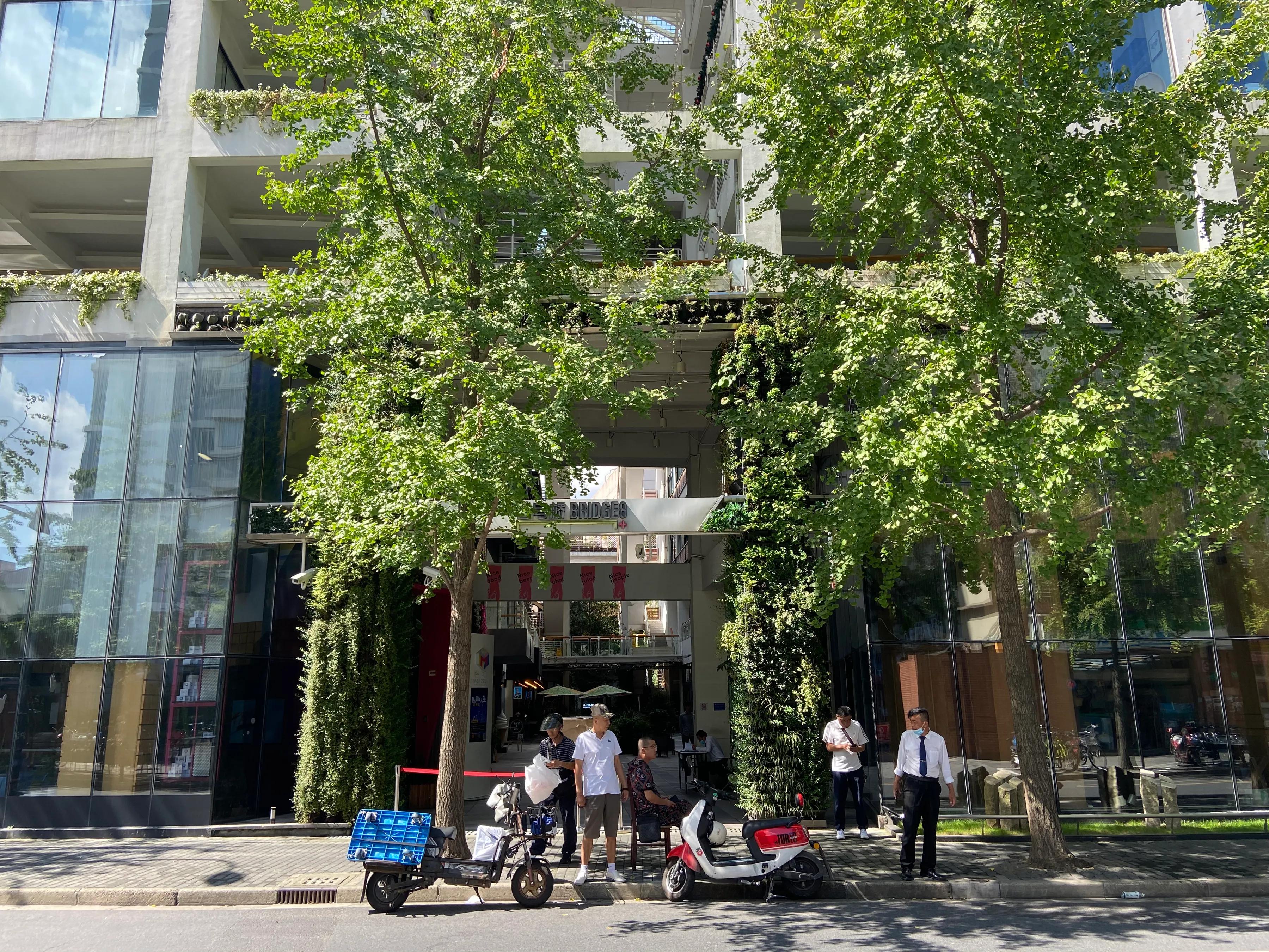 去上海局门路，来一场有去无回的旅行