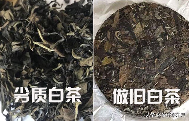 关于白茶的六大谣言,白茶过曝