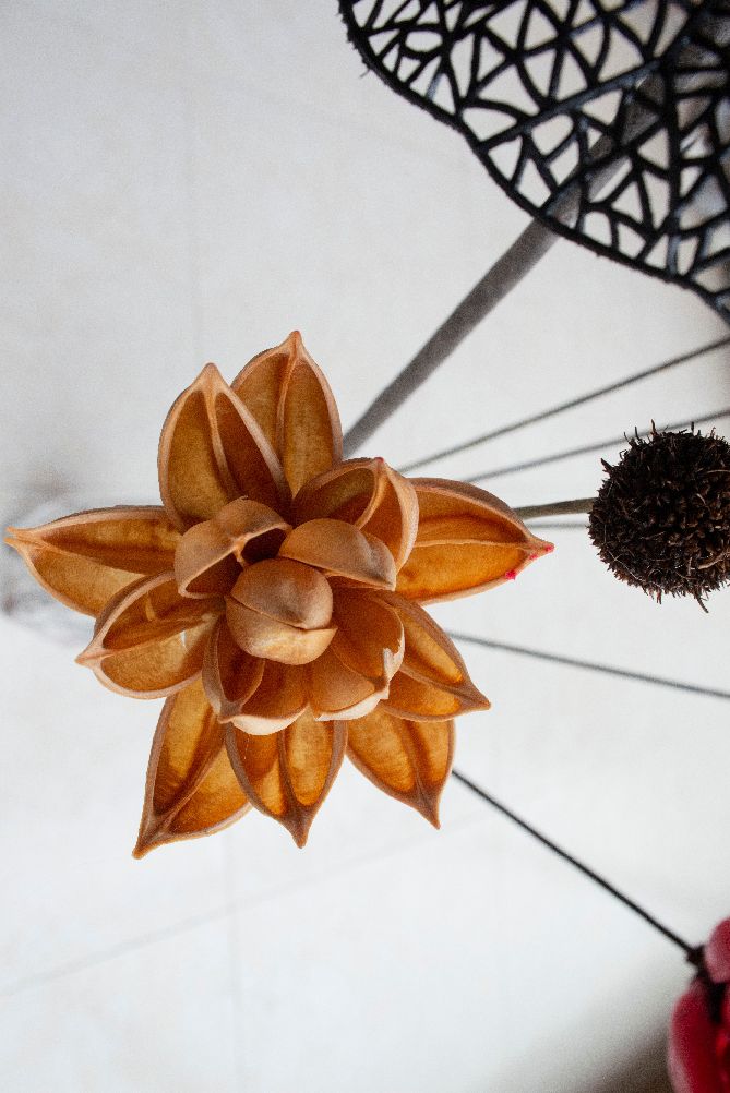 尼康ais300mmf4定焦镜头,尼康ais35mmf1.4定焦镜头