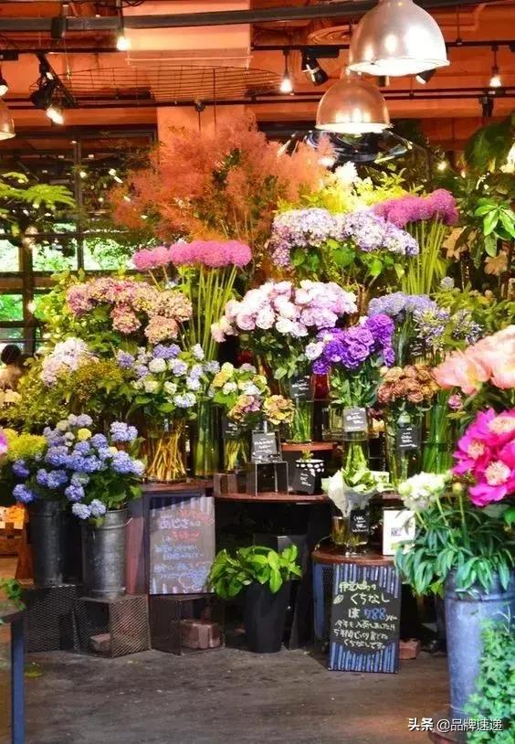 早晚开一家属于自己的花店,开一间温馨的花店